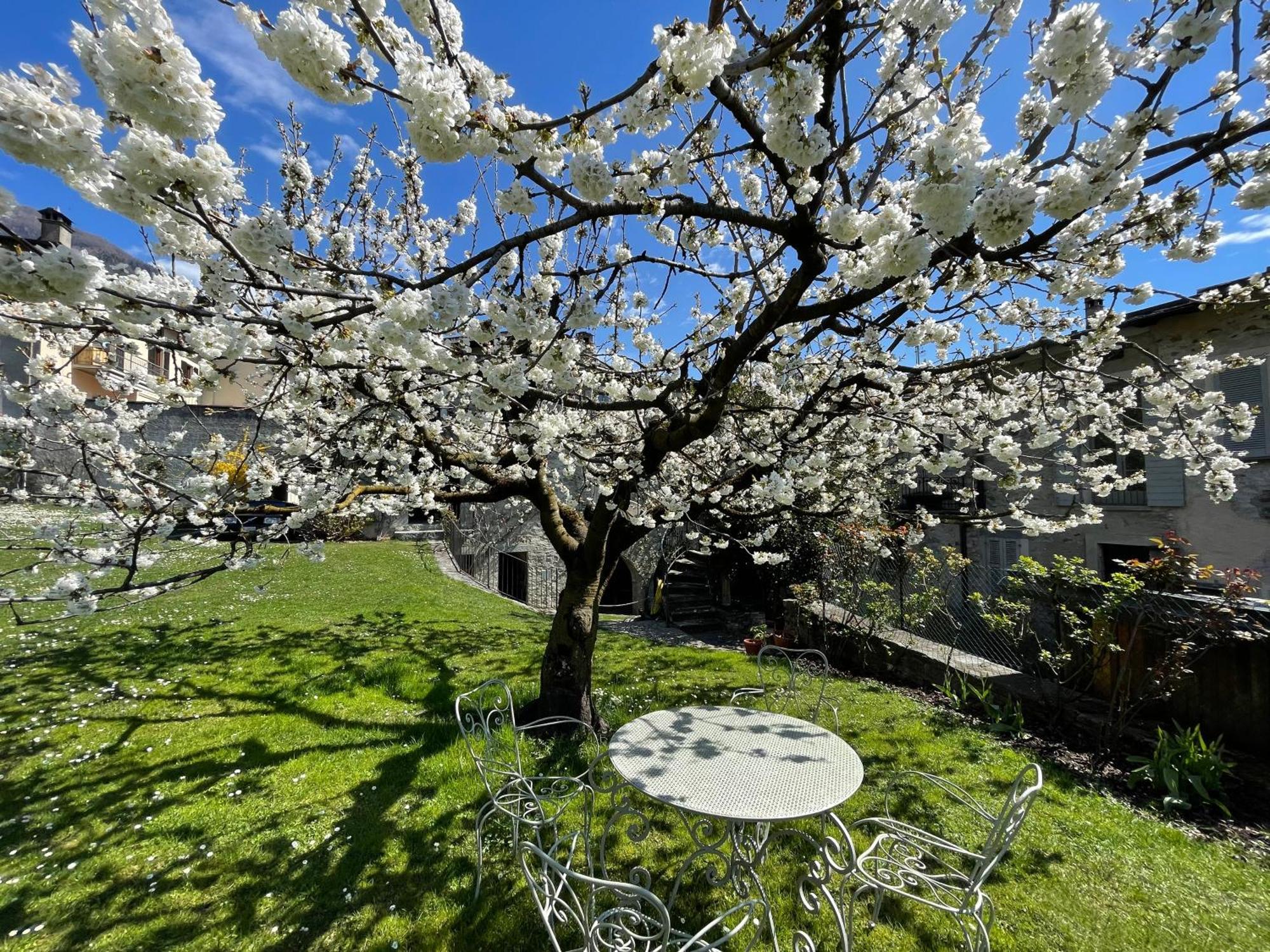 Villa Piano Nobile Al Roseto Del Drago San Bernardo  Exterior foto